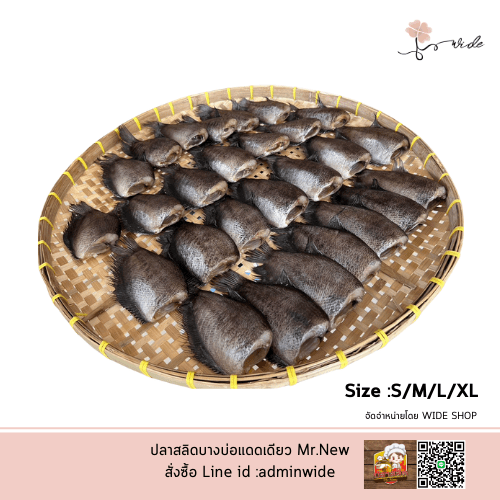 ปลาสลิด Mr.New (Homemade) SIZE L ปลาสลิดบางบ่อแดดเดียว เกรดพรีเมียม - Image 6