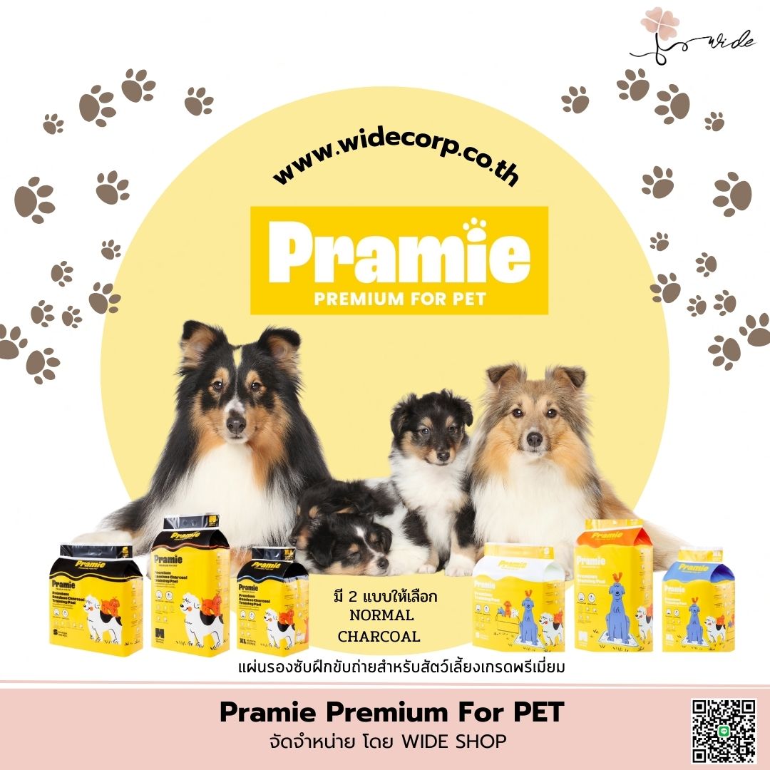 Pramie Premium แผ่นรองซับสัตว์เลี้ยง เกรดพรีเมียม ขนาด XL รหัส PR004 - Image 2