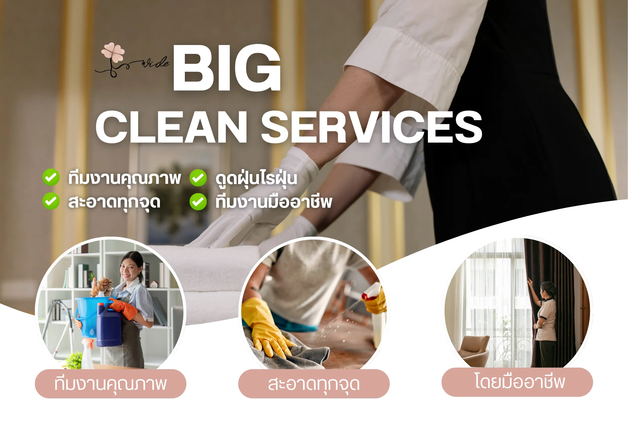 Big Clean services