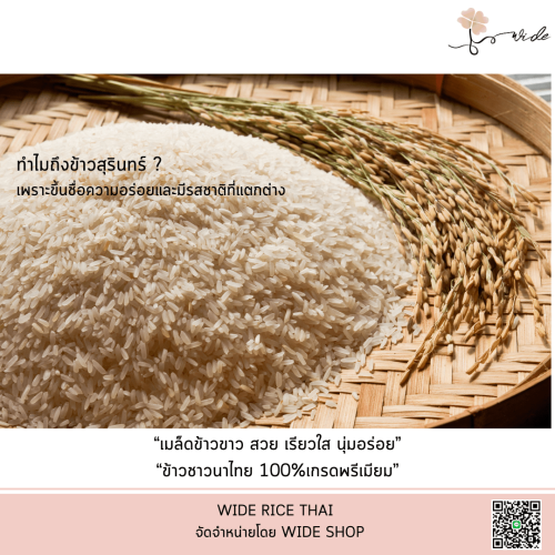 Wide rice Thai
