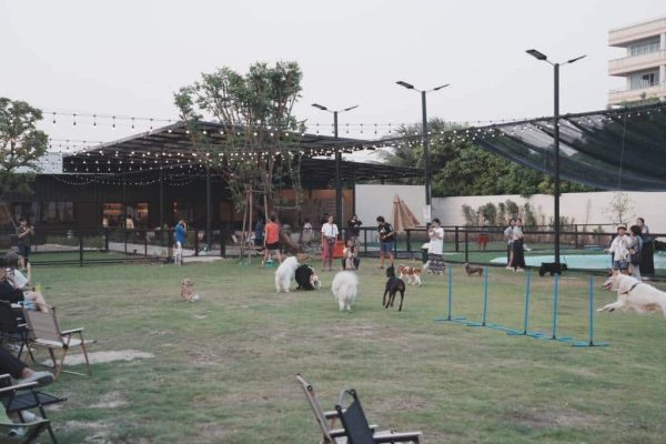 Yard